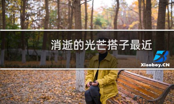 消逝的光芒搭子最近