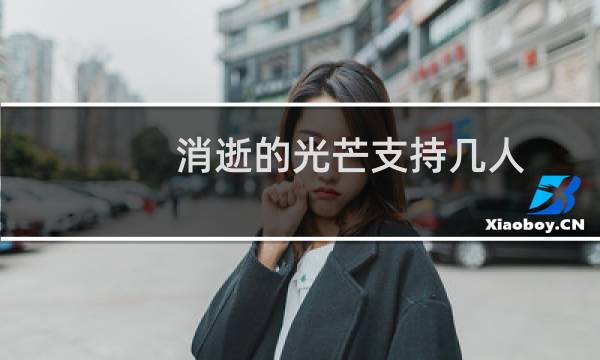 消逝的光芒支持几人