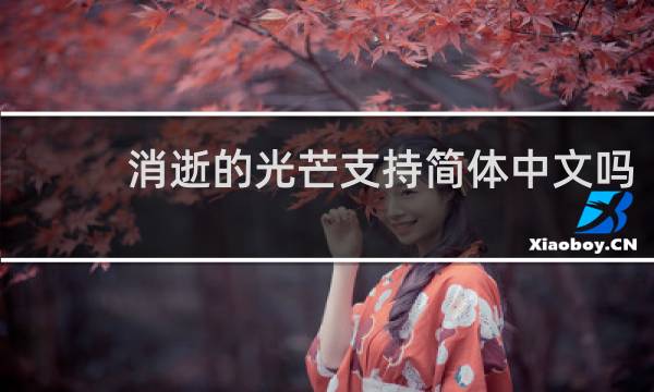 消逝的光芒支持简体中文吗