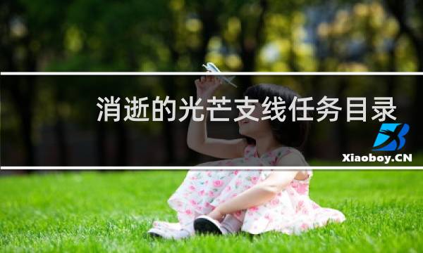 消逝的光芒支线任务目录