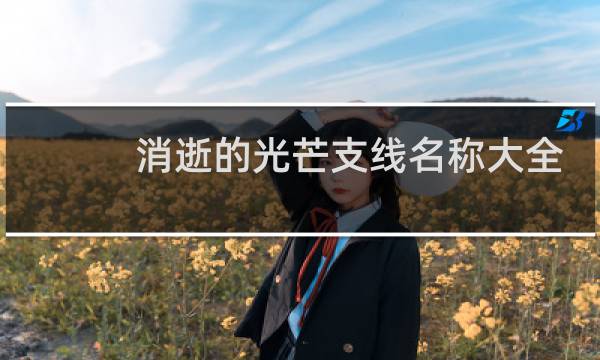 消逝的光芒支线名称大全