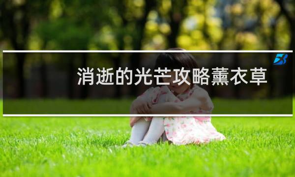 消逝的光芒攻略薰衣草
