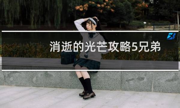 消逝的光芒攻略5兄弟