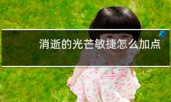 消逝的光芒敏捷怎么加点