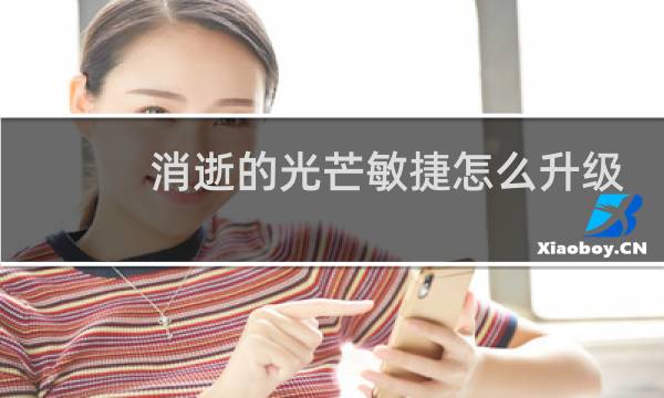 消逝的光芒敏捷怎么升级