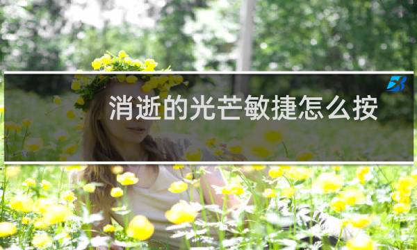 消逝的光芒敏捷怎么按