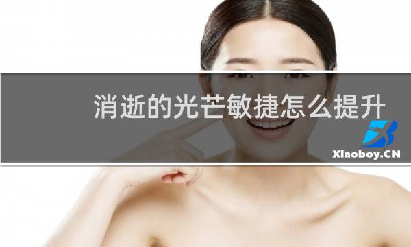 消逝的光芒敏捷怎么提升