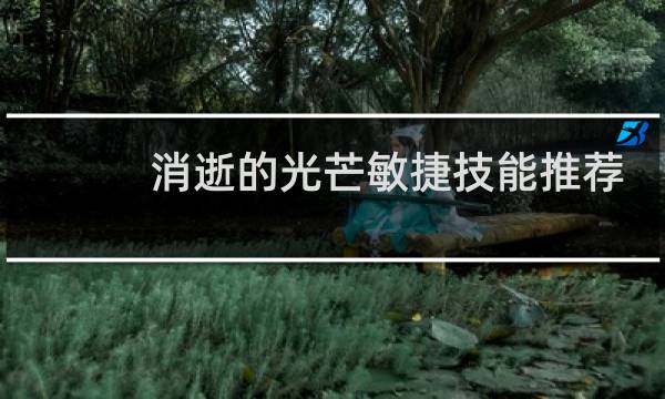 消逝的光芒敏捷技能推荐