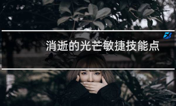 消逝的光芒敏捷技能点