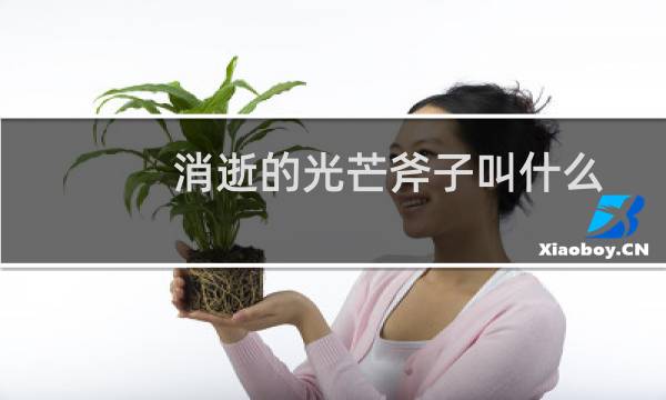 消逝的光芒斧子叫什么