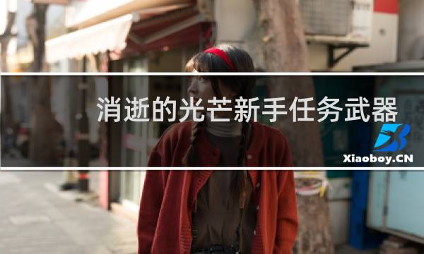 消逝的光芒新手任务武器