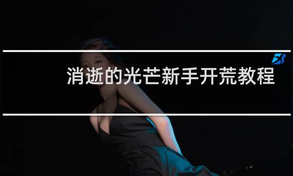 消逝的光芒新手开荒教程