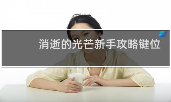 消逝的光芒新手攻略键位