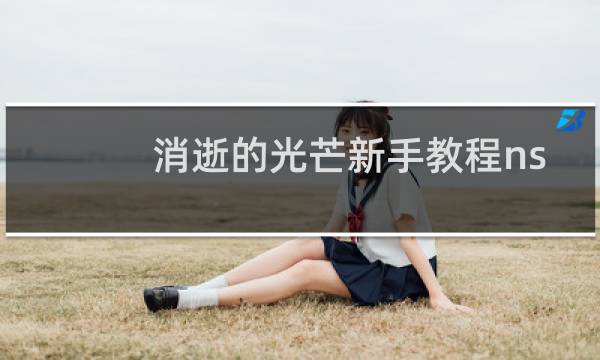 消逝的光芒新手教程ns