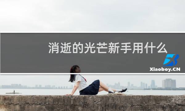 消逝的光芒新手用什么