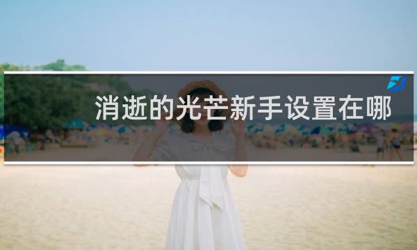 消逝的光芒新手设置在哪