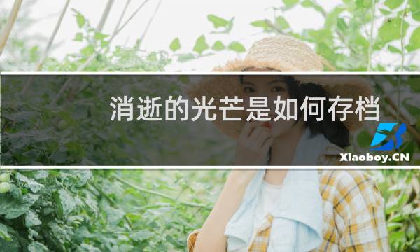 消逝的光芒是如何存档