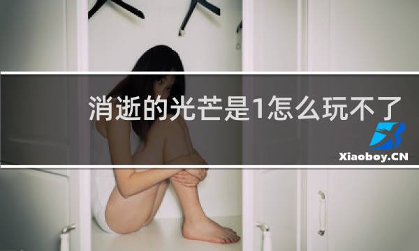 消逝的光芒是1怎么玩不了
