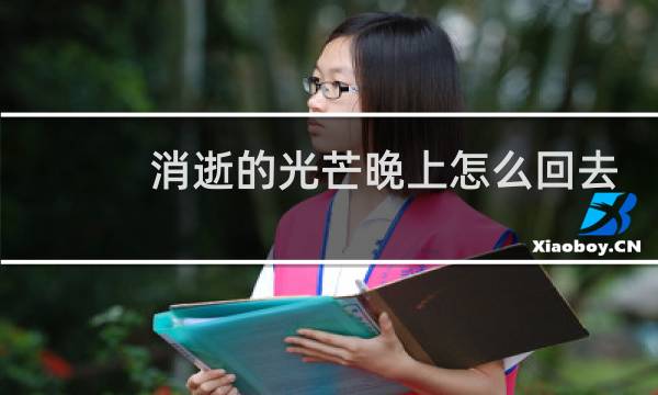 消逝的光芒晚上怎么回去