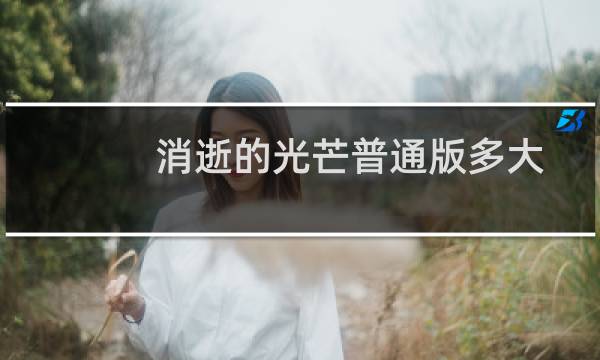 消逝的光芒普通版多大