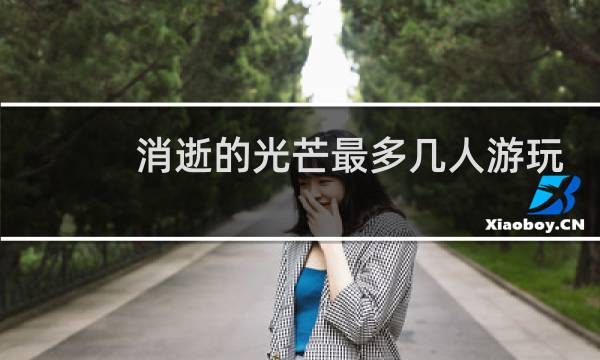 消逝的光芒最多几人游玩