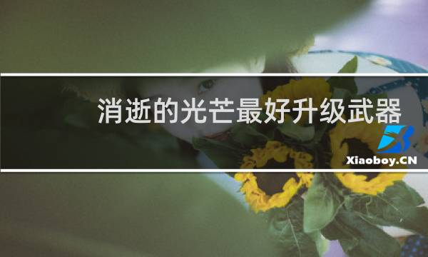消逝的光芒最好升级武器