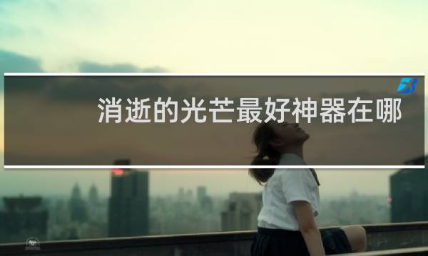 消逝的光芒最好神器在哪