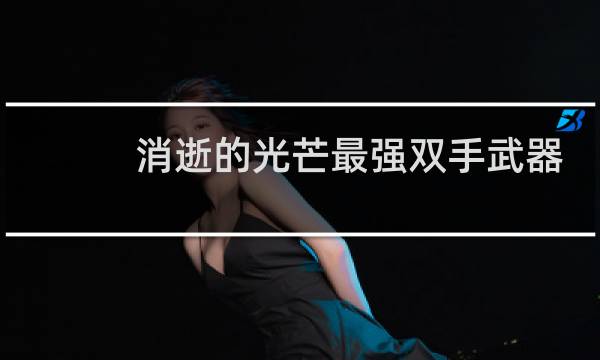 消逝的光芒最强双手武器