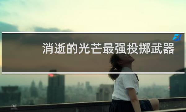 消逝的光芒最强投掷武器