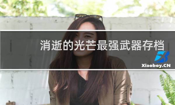 消逝的光芒最强武器存档