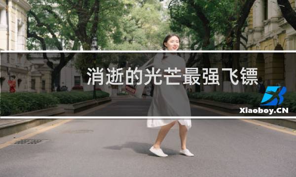 消逝的光芒最强飞镖