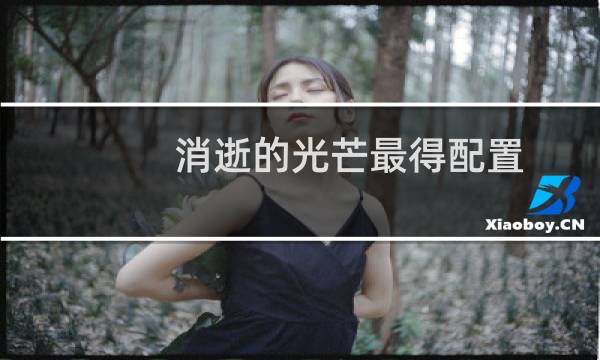 消逝的光芒最得配置