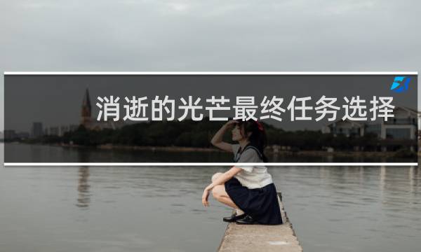 消逝的光芒最终任务选择