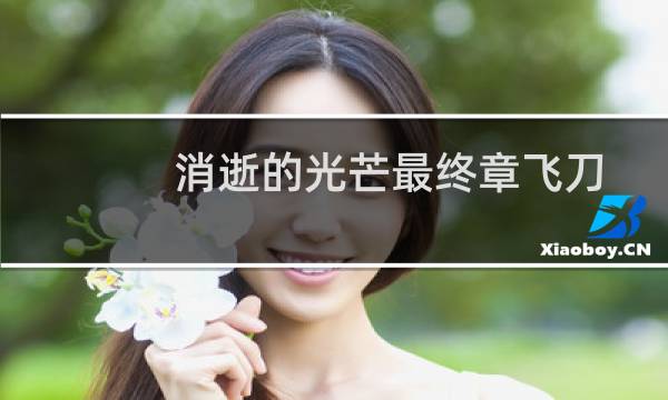 消逝的光芒最终章飞刀
