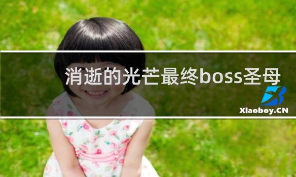 消逝的光芒最终boss圣母
