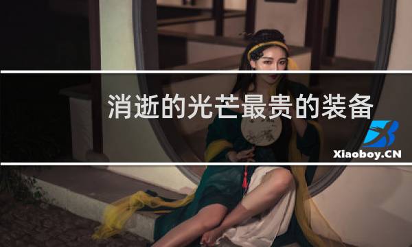 消逝的光芒最贵的装备