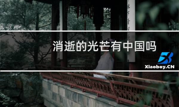 消逝的光芒有中国吗