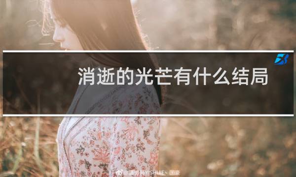 消逝的光芒有什么结局
