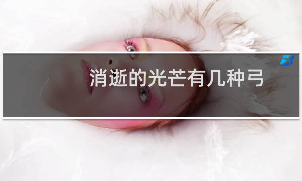 消逝的光芒有几种弓