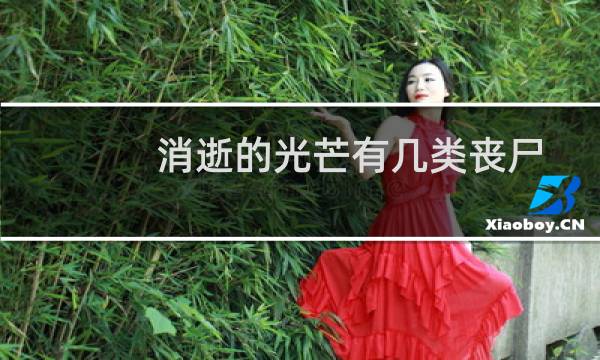 消逝的光芒有几类丧尸