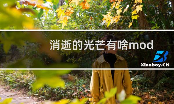 消逝的光芒有啥mod