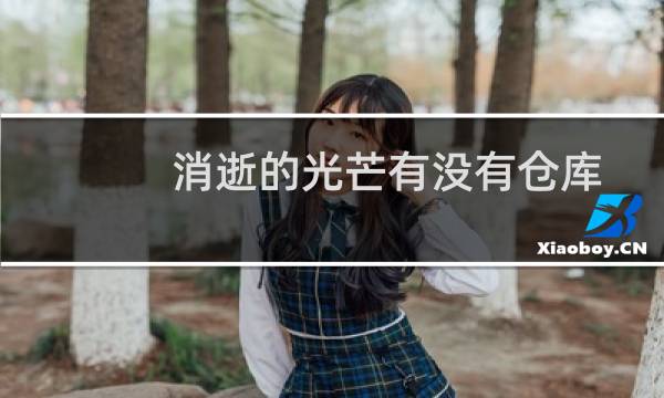 消逝的光芒有没有仓库