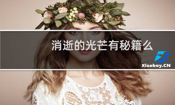 消逝的光芒有秘籍么