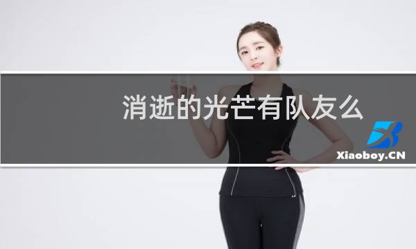 消逝的光芒有队友么