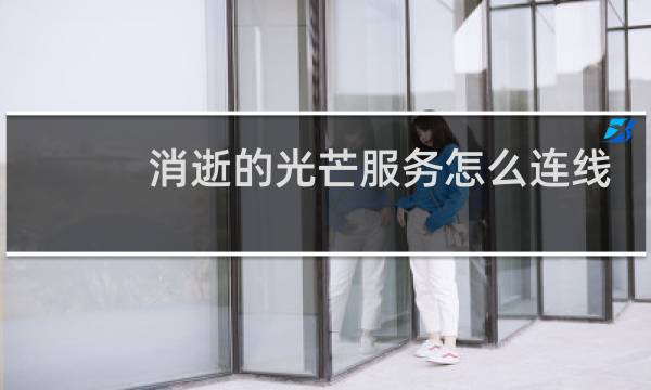 消逝的光芒服务怎么连线