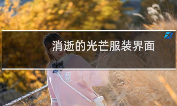 消逝的光芒服装界面