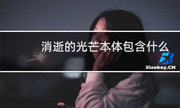 消逝的光芒本体包含什么