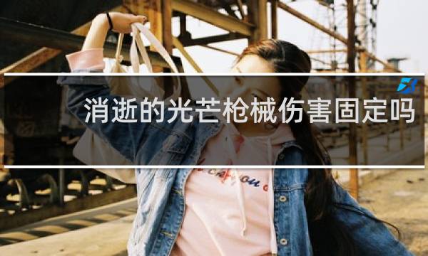 消逝的光芒枪械伤害固定吗