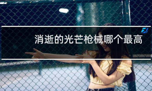 消逝的光芒枪械哪个最高