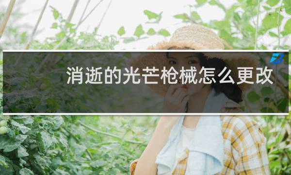 消逝的光芒枪械怎么更改